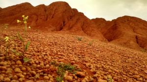 Cave di Bauxite - Otranto 