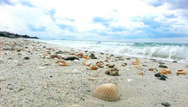 Spiaggia - Porto Cesareo